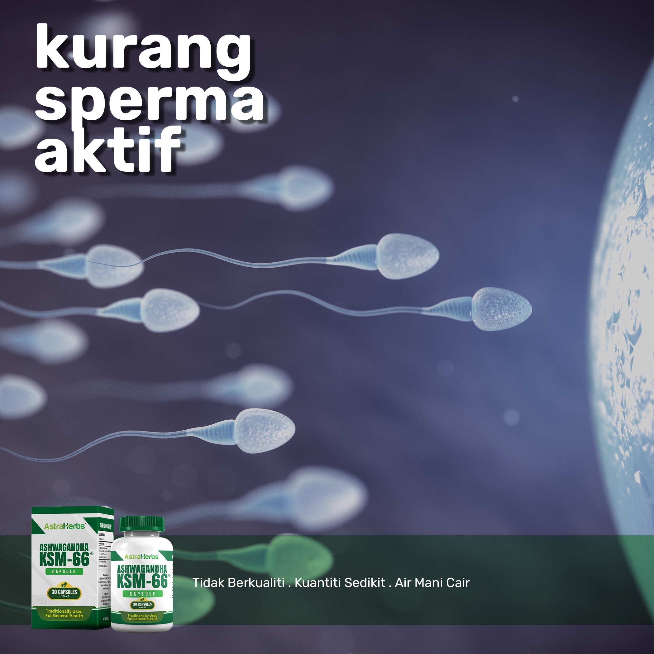 Poster_sperma-aktif.jpg